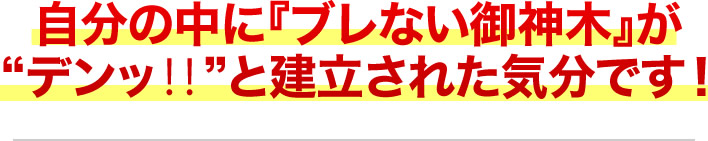 自分の中に『ブレない御神木』がデンッ‼と建立された気分です！
