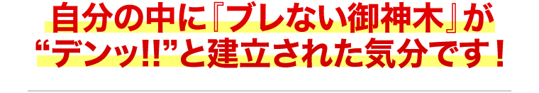 ブレない御神木がデンッ‼と建立された気分