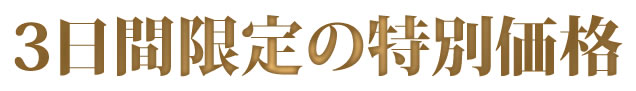 3日間限定の特別価格