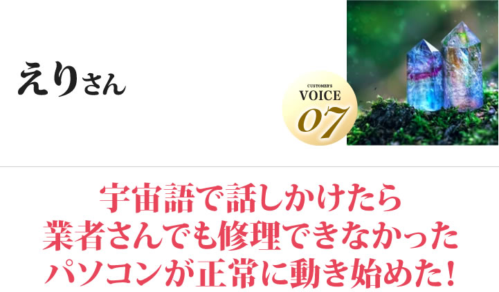 えりさん